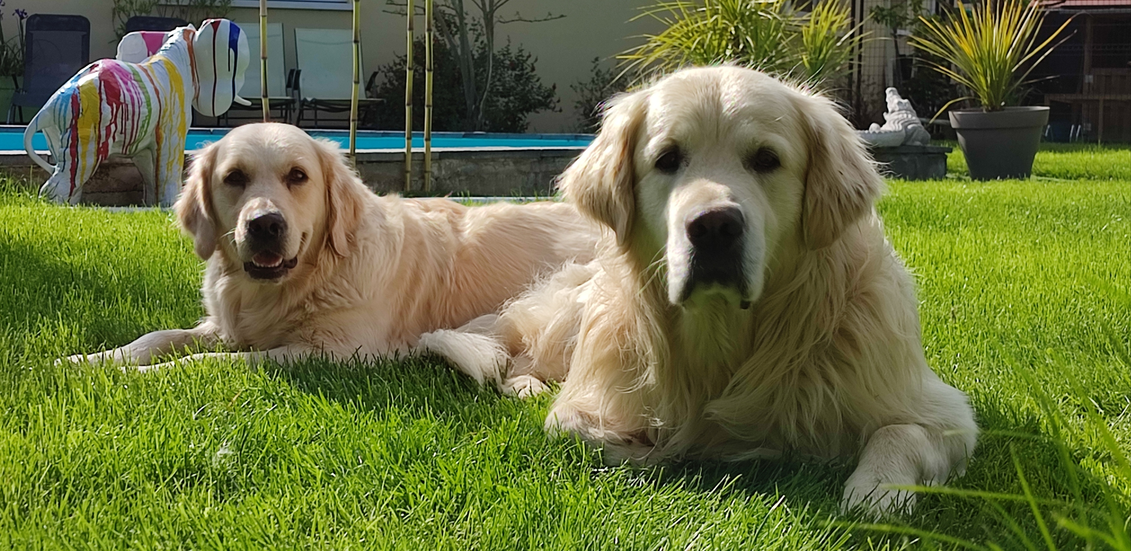 parents_nemo_shannel